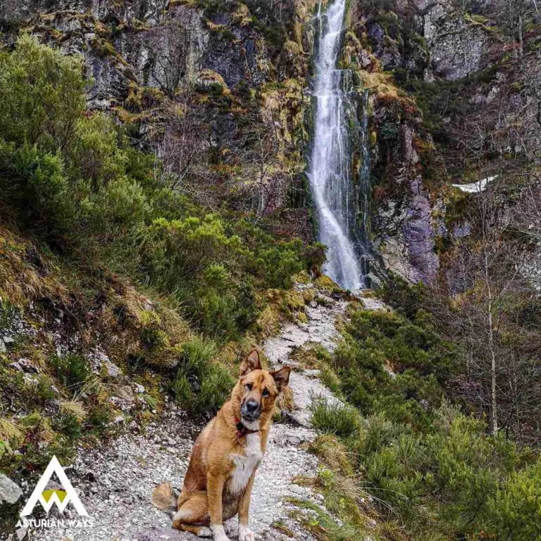 Waterfalls in Asturias Cycle.