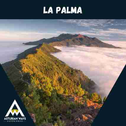 Viaje La Palma