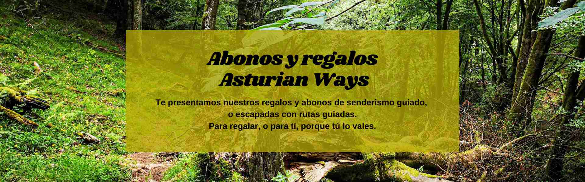 Abonos y regalos Asturian Ways