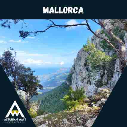 Viaje a Mallorca