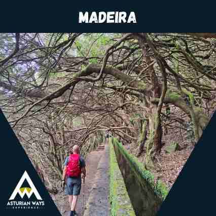 Viaje a Madeira